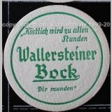 wallerstein (13).jpg